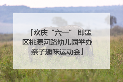 欢庆“六一” 即墨区桃源河路幼儿园举办亲子趣味运动会