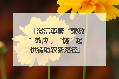 激活要素“乘数”效应，“链”起供销助农新路径