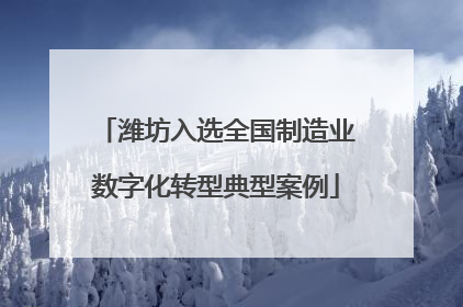 潍坊入选全国制造业数字化转型典型案例