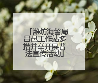 潍坊海警局昌邑工作站多措并举开展普法宣传活动