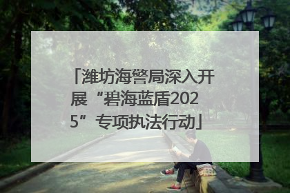 潍坊海警局深入开展“碧海蓝盾2025”专项执法行动