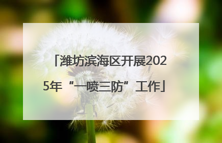 潍坊滨海区开展2025年“一喷三防”工作