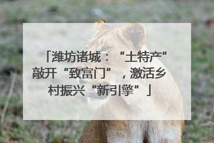 潍坊诸城：“土特产”敲开“致富门”，激活乡村振兴“新引擎”
