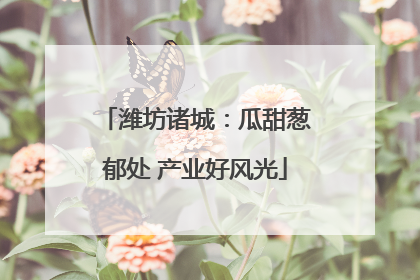 潍坊诸城：瓜甜葱郁处 产业好风光
