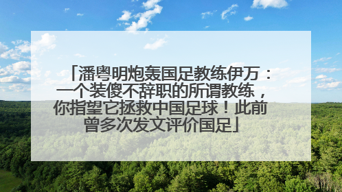 潘粤明炮轰国足教练伊万：一个装傻不辞职的所谓教练，你指望它拯救中国足球！此前曾多次发文评价国足