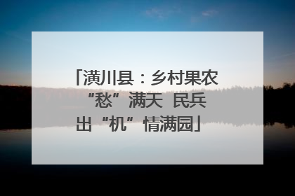 潢川县：乡村果农“愁”满天  民兵出“机”情满园