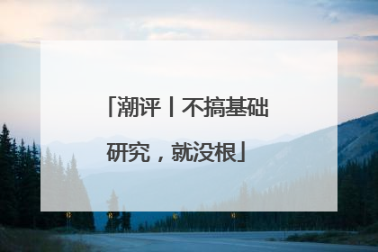 潮评丨不搞基础研究，就没根