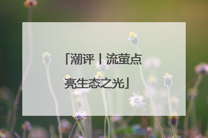潮评丨流萤点亮生态之光