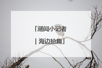 潮闻小记者｜海边拾趣
