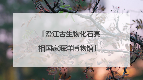澄江古生物化石亮相国家海洋博物馆