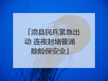 澧县民兵紧急出动 连夜封堵管涌除险保安全