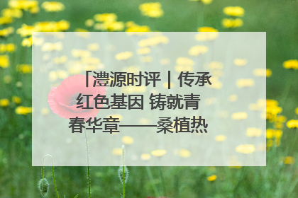 澧源时评｜传承红色基因 铸就青春华章——桑植热土上的青春长征