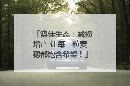澳佳生态：减损增产 让每一粒麦穗都饱含希望！