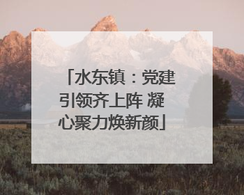水东镇：党建引领齐上阵 凝心聚力焕新颜