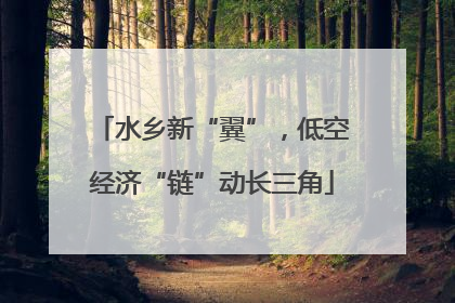 水乡新“翼”，低空经济“链”动长三角