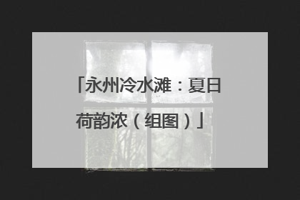 永州冷水滩：夏日荷韵浓（组图）