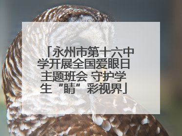 永州市第十六中学开展全国爱眼日主题班会 守护学生“睛”彩视界