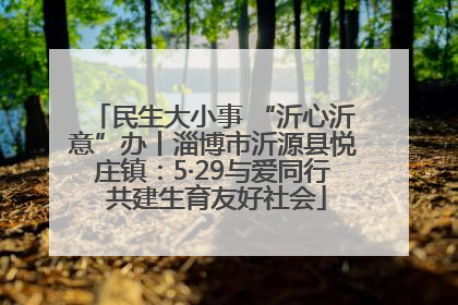 民生大小事 “沂心沂意”办丨淄博市沂源县悦庄镇：5·29与爱同行 共建生育友好社会
