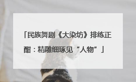 民族舞剧《大染坊》排练正酣：精雕细琢见“人物”