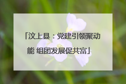 汶上县：党建引领聚动能 组团发展促共富