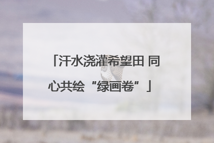 汗水浇灌希望田 同心共绘“绿画卷”