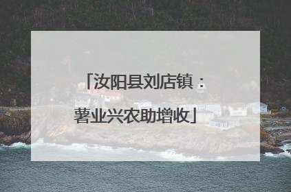 汝阳县刘店镇：薯业兴农助增收