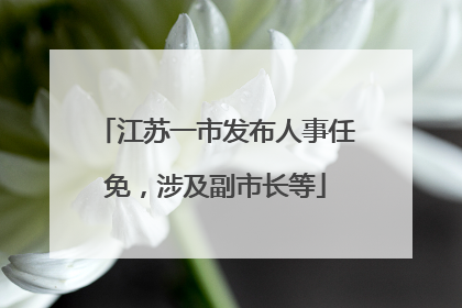 江苏一市发布人事任免，涉及副市长等