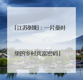 江苏射阳：一片桑叶里的乡村共富密码