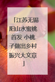 江苏无锡阳山水蜜桃首发 小桃子做出乡村振兴大文章