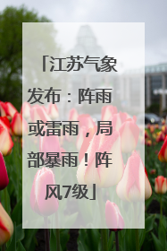 江苏气象发布：阵雨或雷雨，局部暴雨！阵风7级