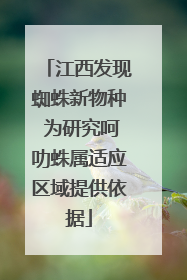 江西发现蜘蛛新物种 为研究呵叻蛛属适应区域提供依据
