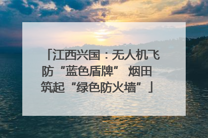 江西兴国：无人机飞防“蓝色盾牌” 烟田筑起“绿色防火墙”