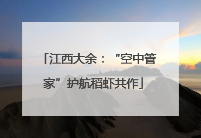 江西大余：“空中管家”护航稻虾共作