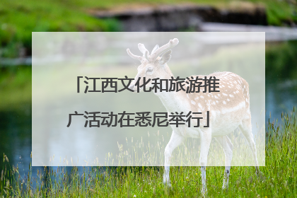 江西文化和旅游推广活动在悉尼举行