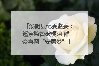 汤阴县纪委监委：巡察监督破梗阻 群众喜圆“安居梦”