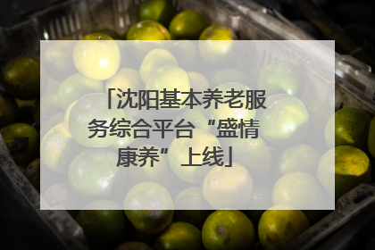 沈阳基本养老服务综合平台“盛情康养”上线