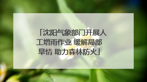 沈阳气象部门开展人工增雨作业 缓解局部旱情 助力森林防火