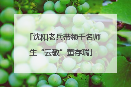 沈阳老兵带领千名师生“云敬”董存瑞
