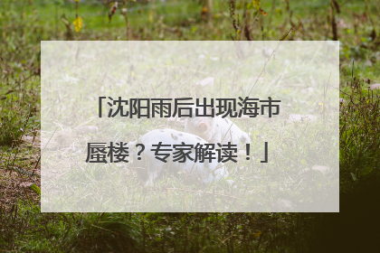 沈阳雨后出现海市蜃楼？专家解读！