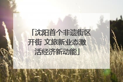 沈阳首个非遗街区开街 文旅新业态激活经济新动能