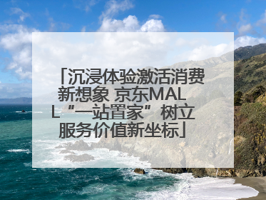 沉浸体验激活消费新想象 京东MALL“一站置家”树立服务价值新坐标