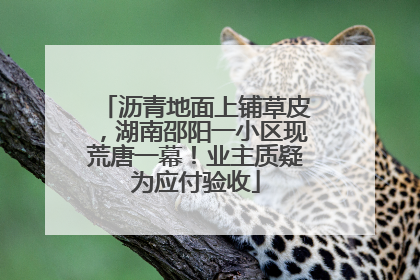 沥青地面上铺草皮，湖南邵阳一小区现荒唐一幕！业主质疑为应付验收