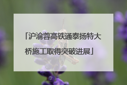 沪渝蓉高铁通泰扬特大桥施工取得突破进展
