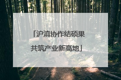 沪滇协作结硕果 共筑产业新高地