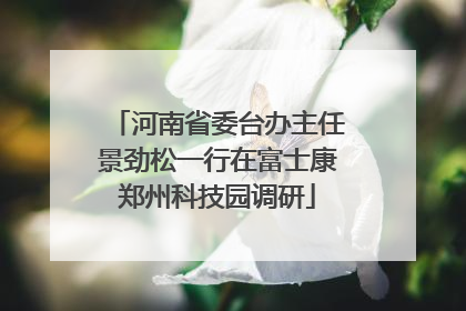 河南省委台办主任景劲松一行在富士康郑州科技园调研