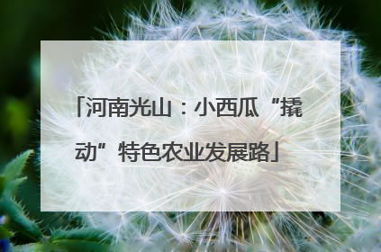 河南光山：小西瓜“撬动”特色农业发展路