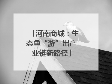 河南商城：生态鱼“游”出产业链新路径