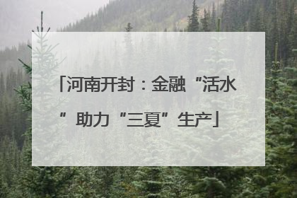 河南开封：金融“活水”助力“三夏”生产