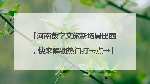 河南数字文旅新场景出圈，快来解锁热门打卡点→