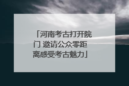 河南考古打开院门 邀请公众零距离感受考古魅力